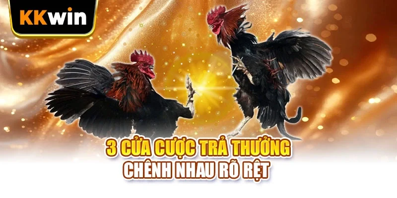 3 cửa cược trả thưởng chênh nhau rõ rệt