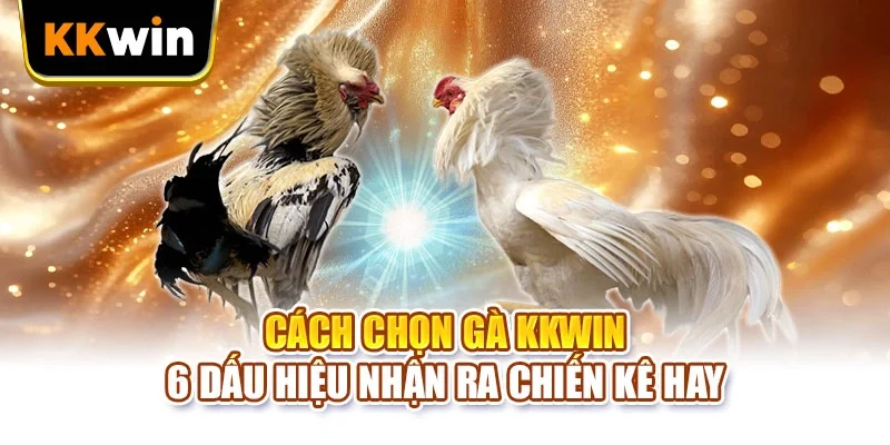 Cách chọn gà