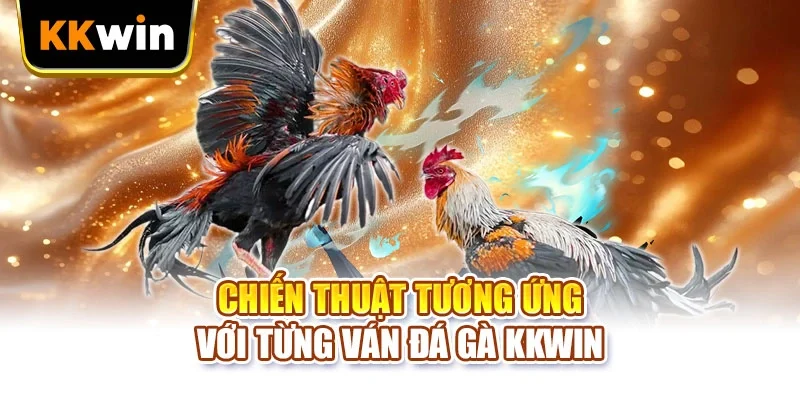 Chiến thuật tương ứng với từng ván đá gà KKWIN