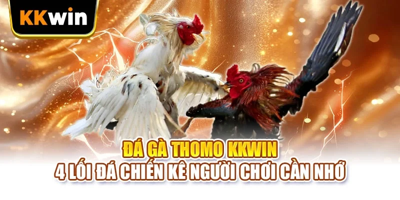 Đá gà Thomo