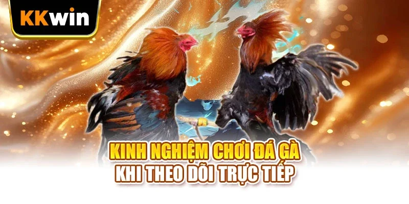 Kinh nghiệm chơi