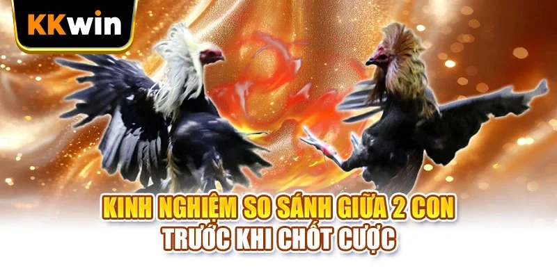 Kinh nghiệm so sánh giữa 2 con trước khi chốt cược
