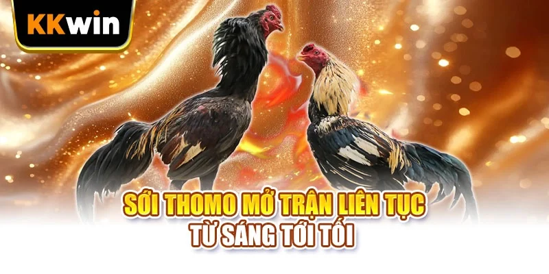 Sới Thomo mở trận liên tục từ sáng tới tối 