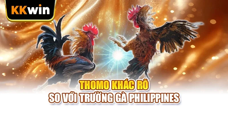 Thomo khác rõ so với trường gà Philippines